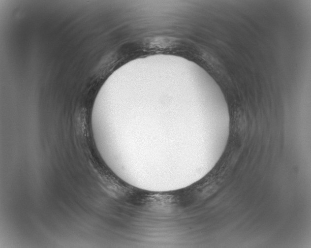 X0000052960328200508050955