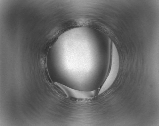 X0000052960329200508050955
