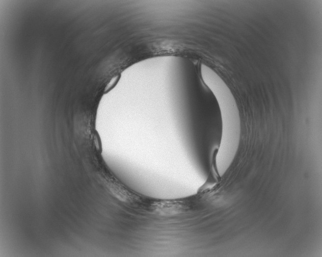 X0000052960331200508050955