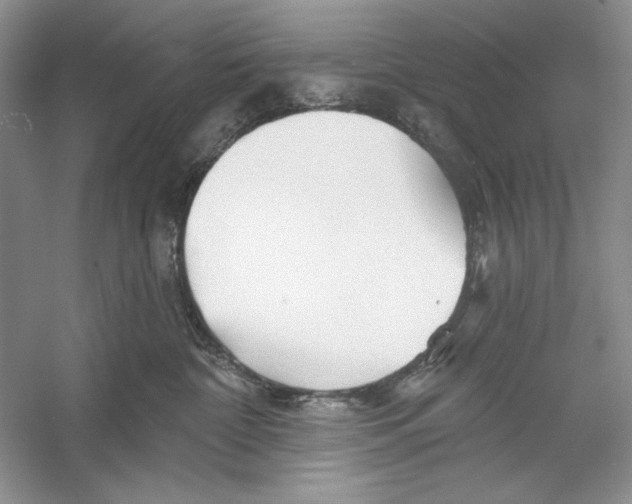 X0000052960332200508050955