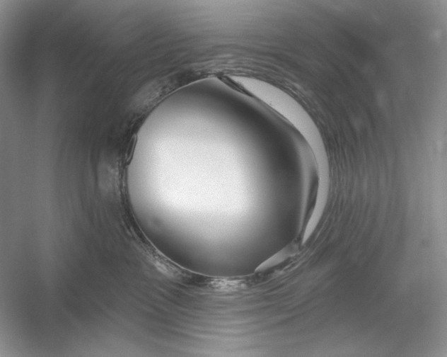 X0000052960333200508050955