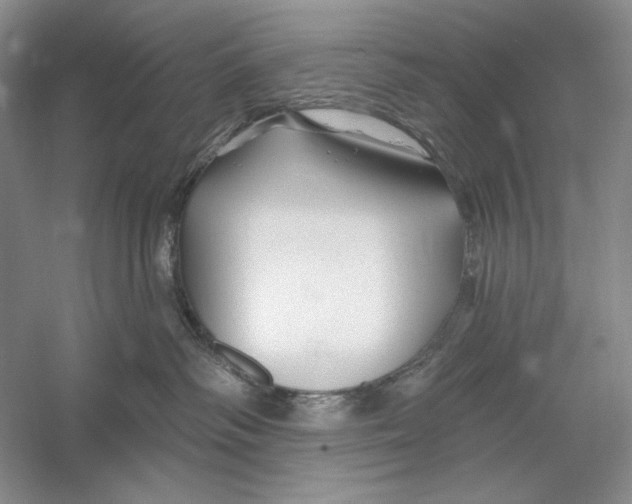 X0000052960334200508050955