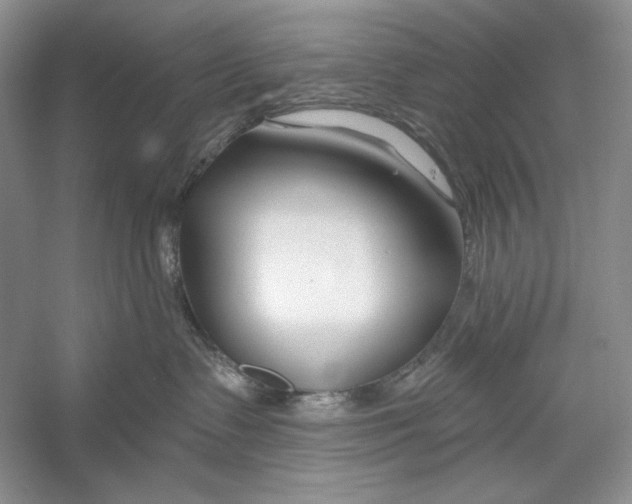 X0000052960335200508050955