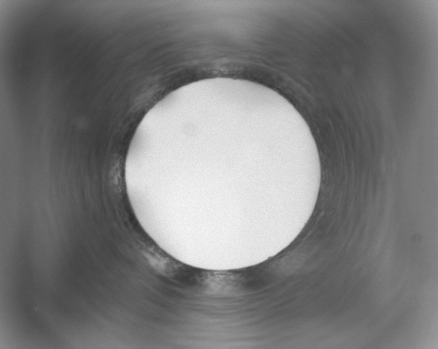 X0000052960336200508050955