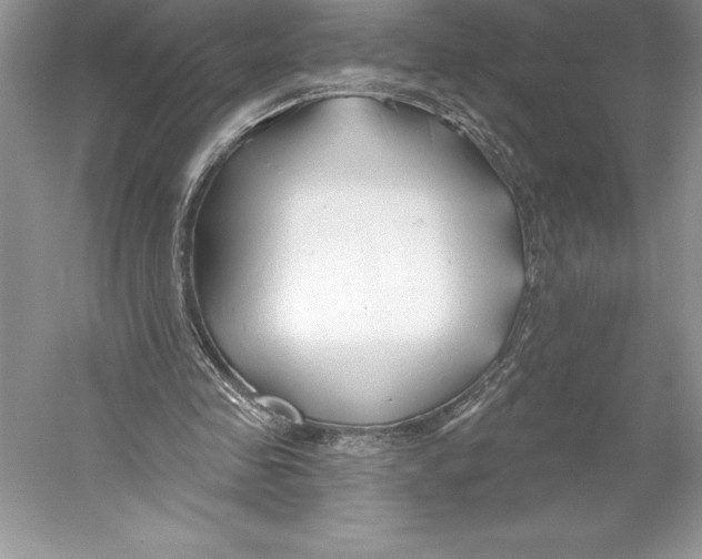 X0000052960341200508050954