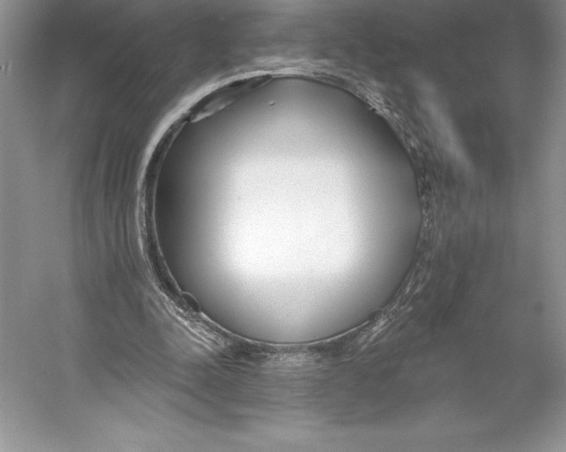 X0000052960342200508050954
