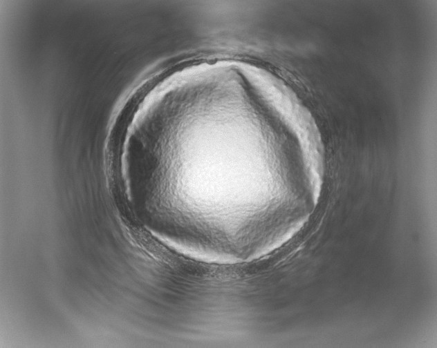 X0000052960343200508050954