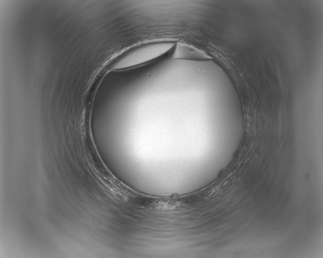 X0000052960346200508050954
