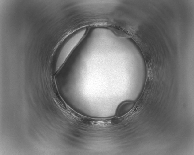 X0000052960347200508050954