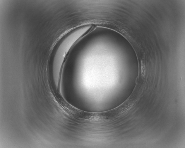 X0000052960348200508050954