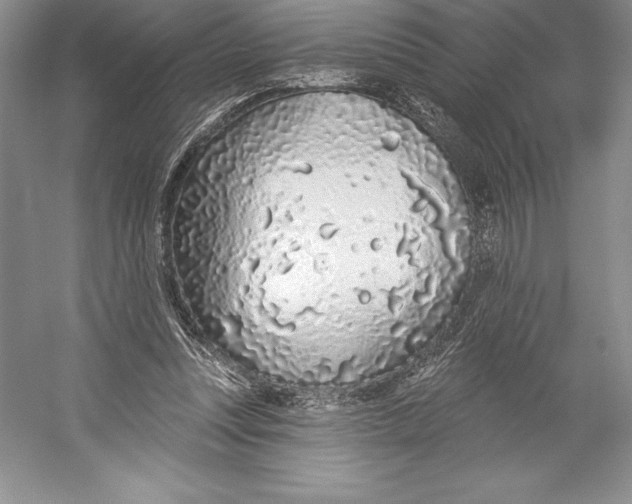 X0000052960351200508050954