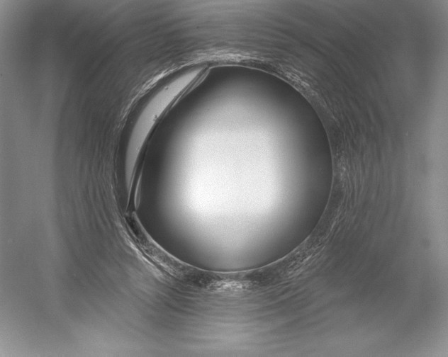 X0000052960352200508050954