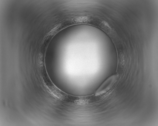 X0000052960356200508050954