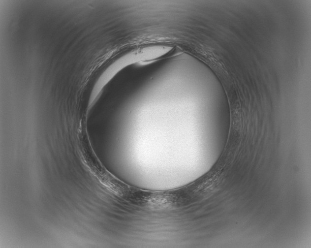 X0000052960358200508050954