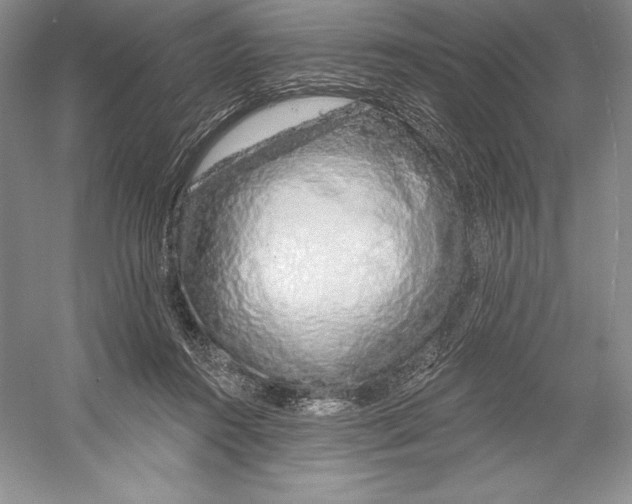 X0000052960360200508050954