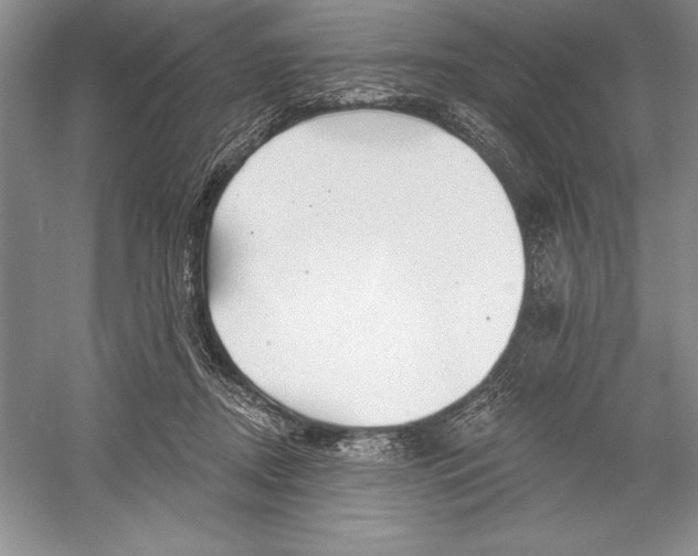 X0000052960362200508050954