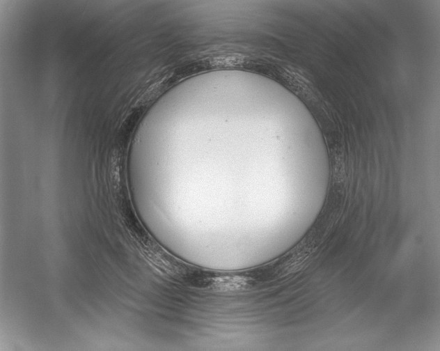 X0000052960363200508050954