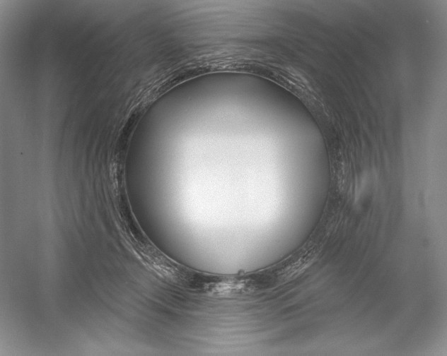 X0000052960366200508050954