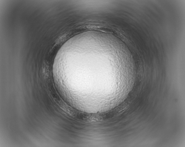 X0000052960367200508050954