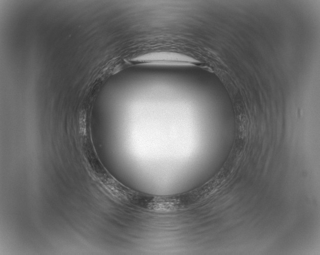 X0000052960368200508050954