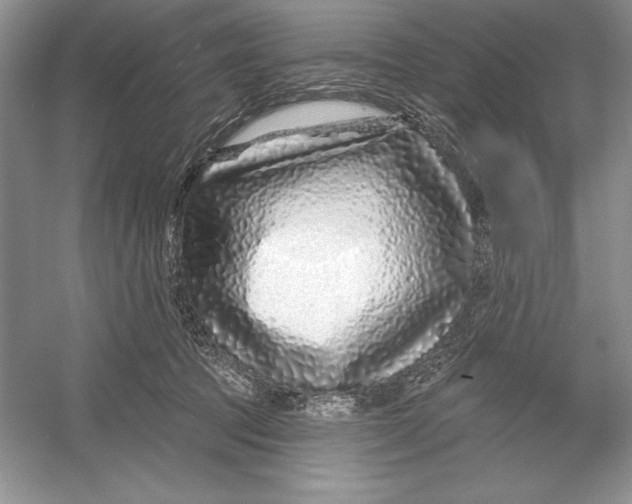 X0000052960369200508050954
