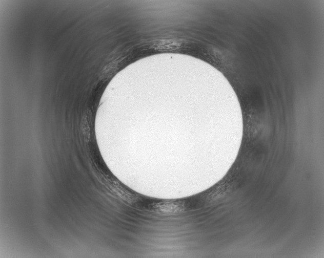 X0000052960370200508050954