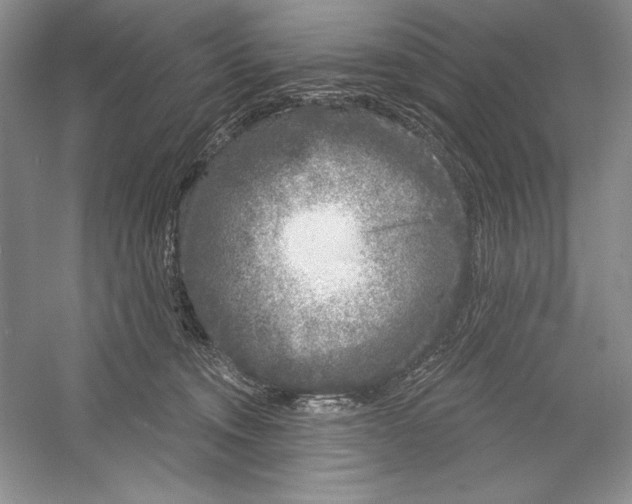 X0000052960372200508050954