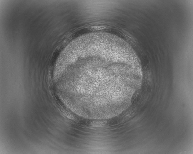 X0000052960373200508050954