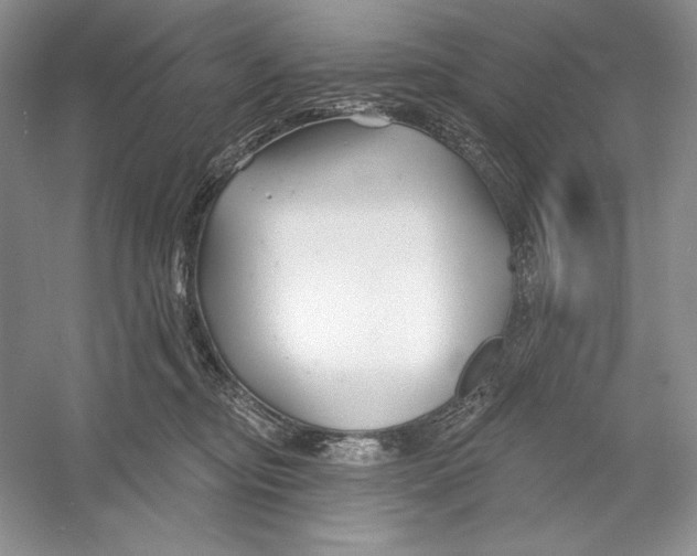 X0000052960374200508050954