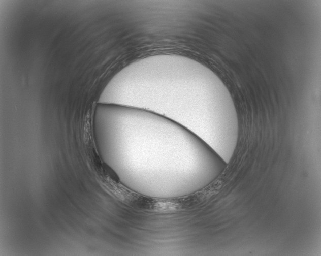 X0000052960376200508050955