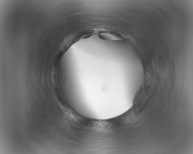 X0000052960379200508050955