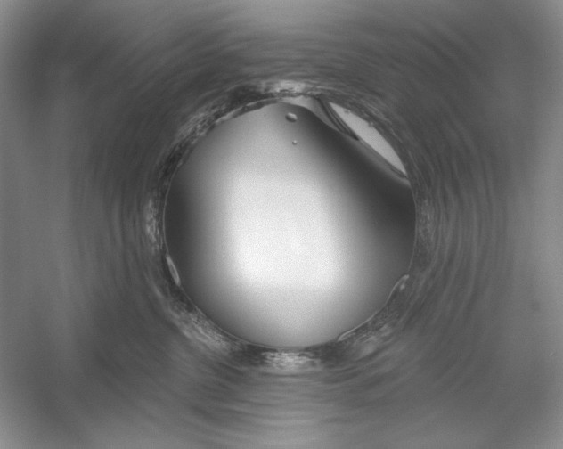 X0000052960380200508050955