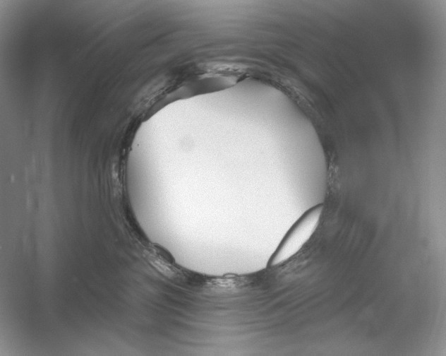 X0000052960381200508050955