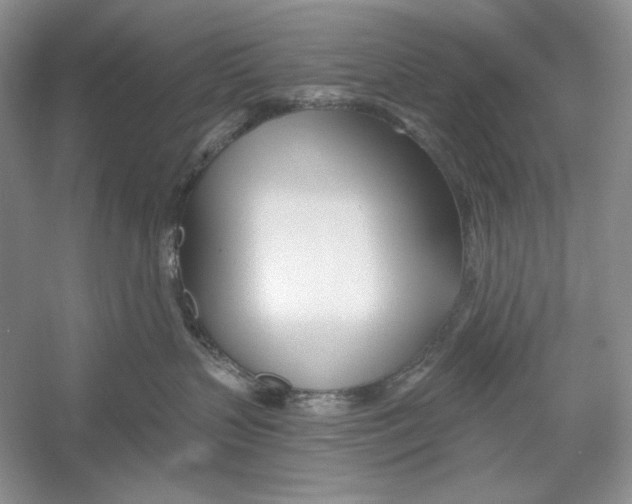 X0000052960383200508050955
