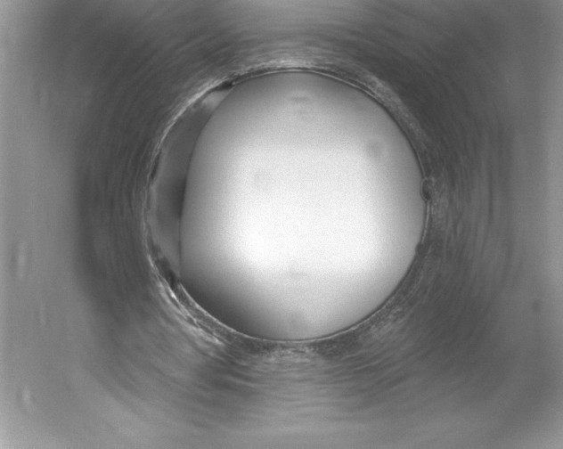 X0000052960386200508050954