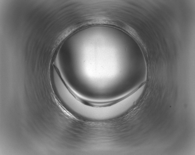 X0000052960389200508050954