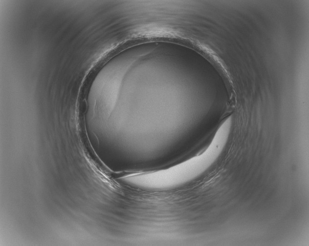 X0000052960391200508050954