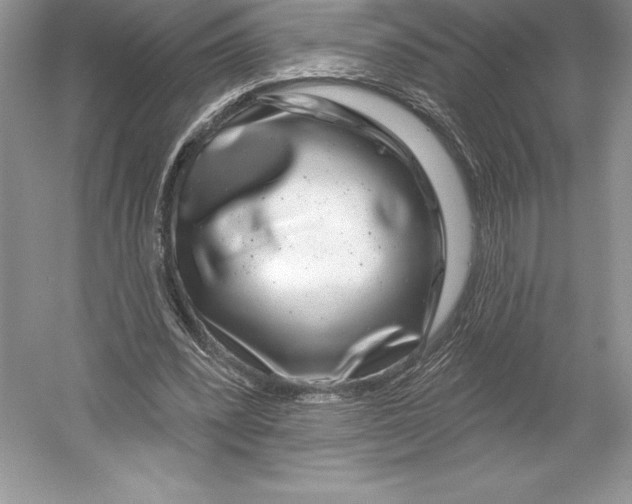 X0000052960392200508050954