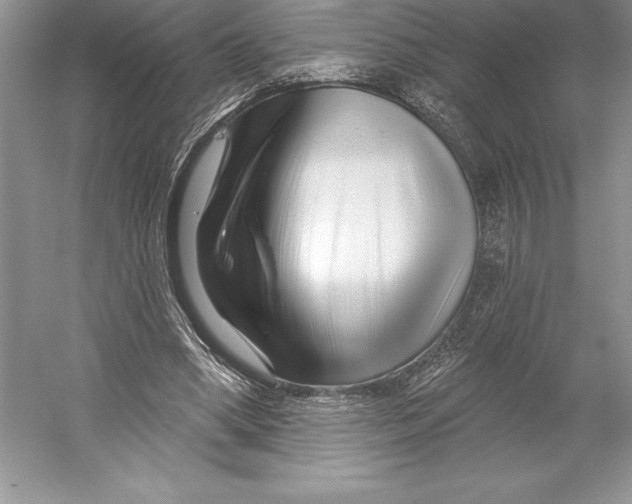 X0000052960394200508050954