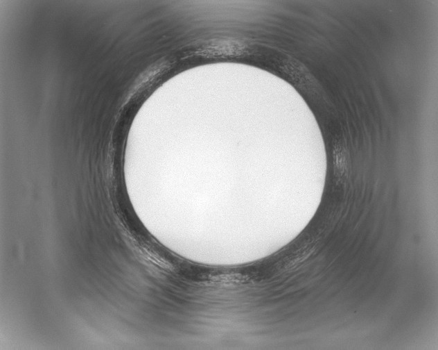 X0000052960396200508050954
