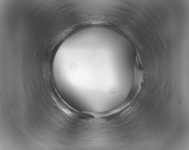 X0000052960397200508050954