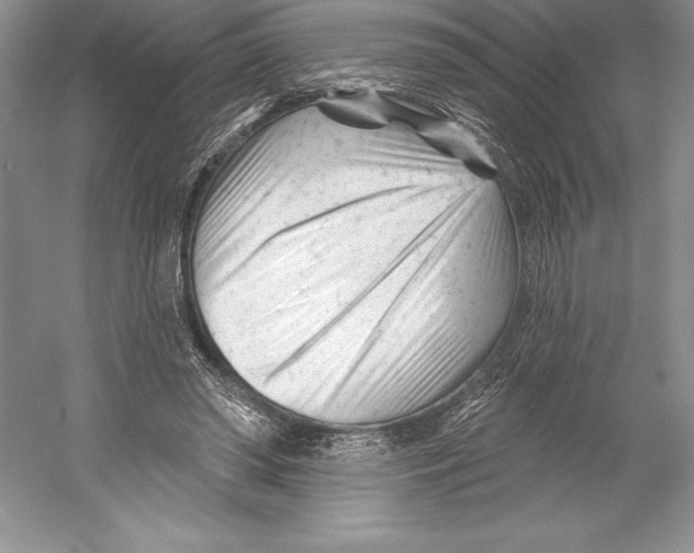 X0000052960398200508050954