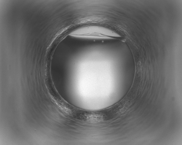 X0000052960400200508050954