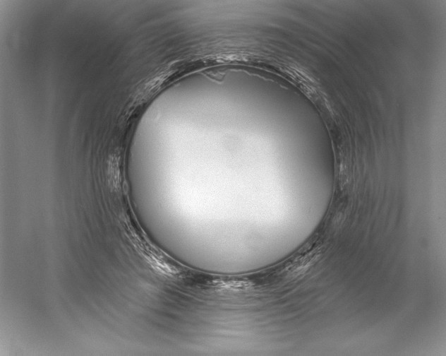 X0000052960401200508050954