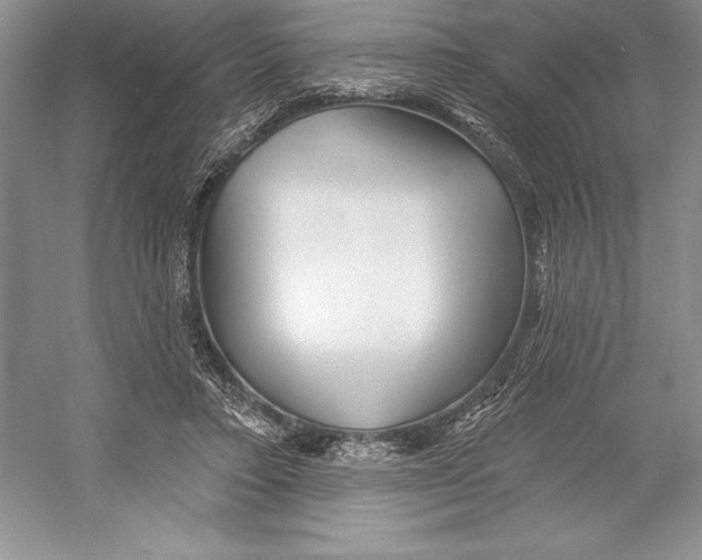 X0000052960403200508050954