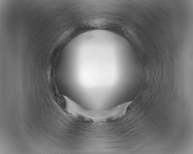 X0000052960404200508050953