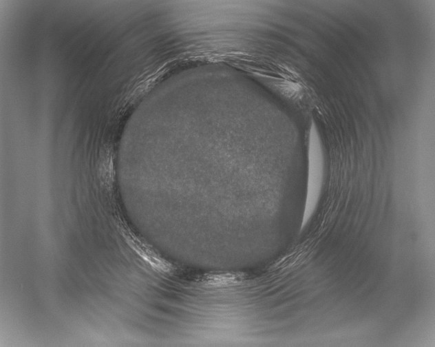 X0000052960405200508050953