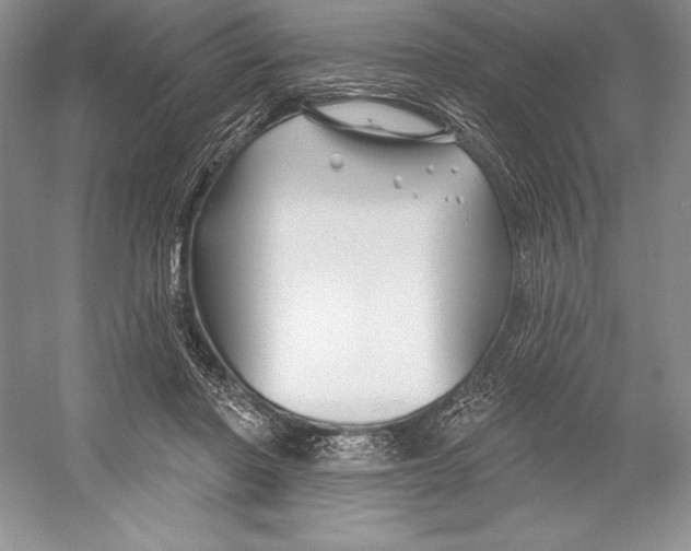 X0000052960406200508050953