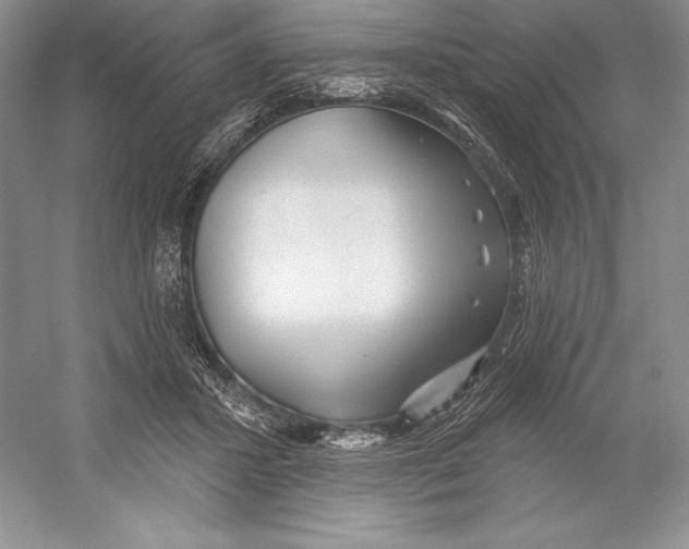 X0000052960407200508050953