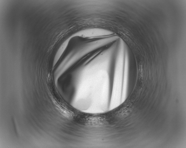 X0000052960408200508050953